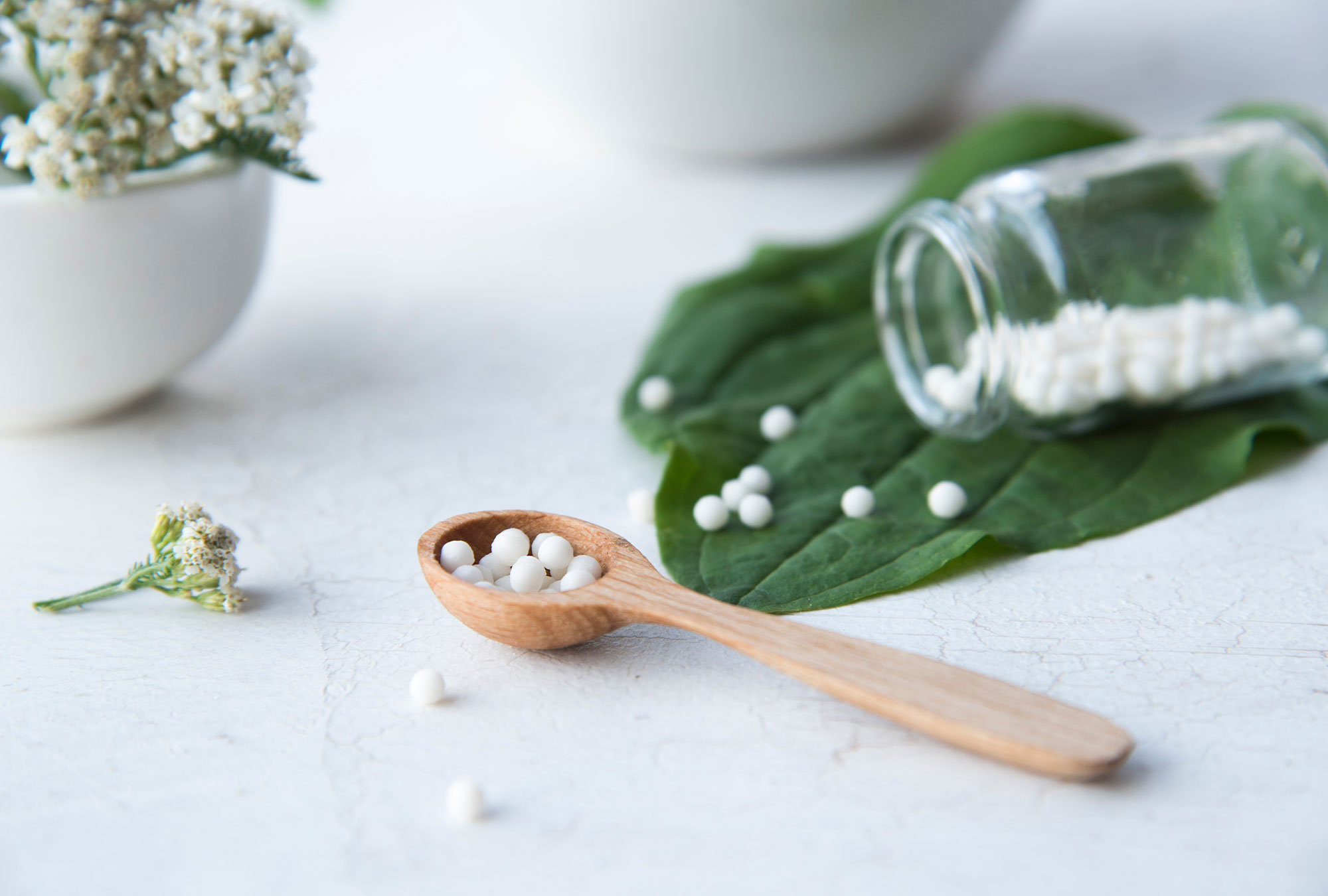 Globulis auf einem Holzlöffel Homöopathie