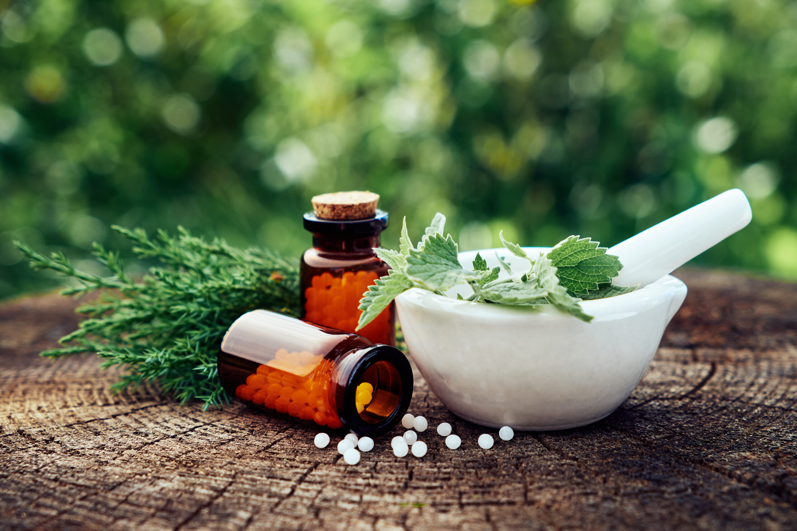 Flasche mit homöopathischen Globuli, Mörser mit Minzblättern, Wacholderzweige. Homöopathie